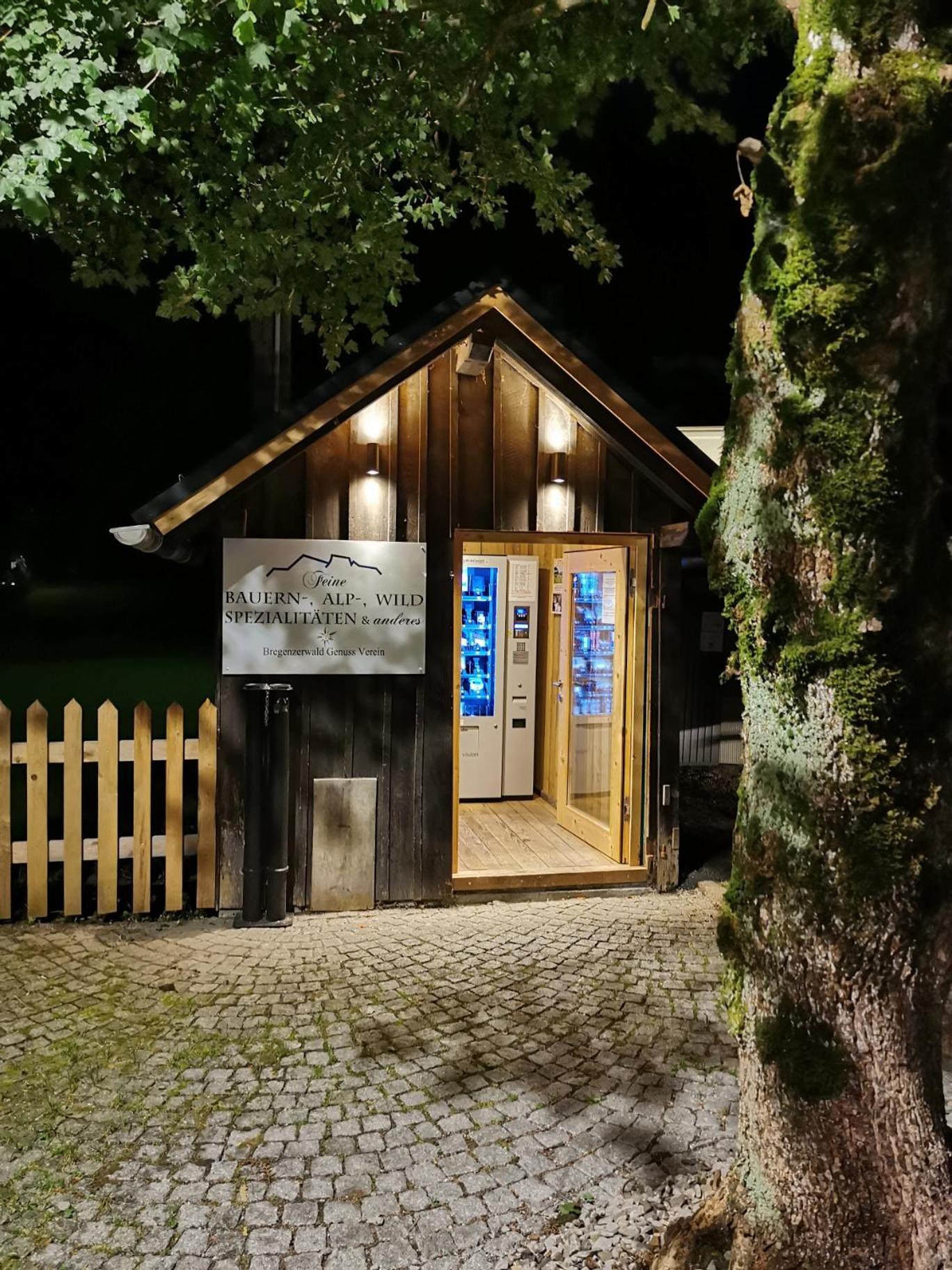 Alps Romantik Mellau Εξωτερικό φωτογραφία